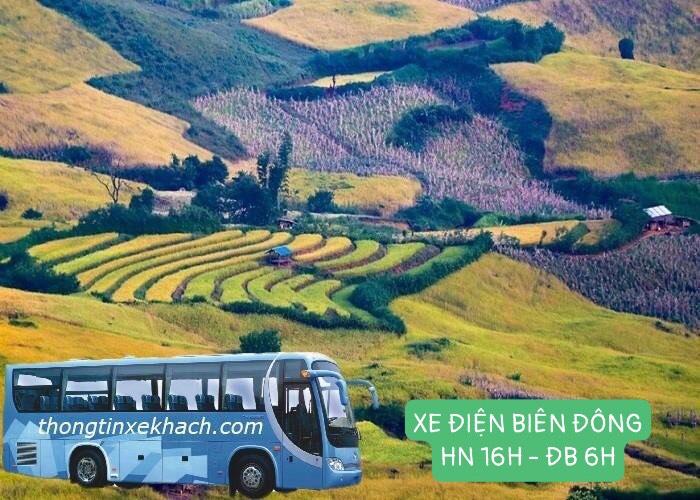 16h-thongtinxekhach-xe-ha-noi-dien-bien-dong-12